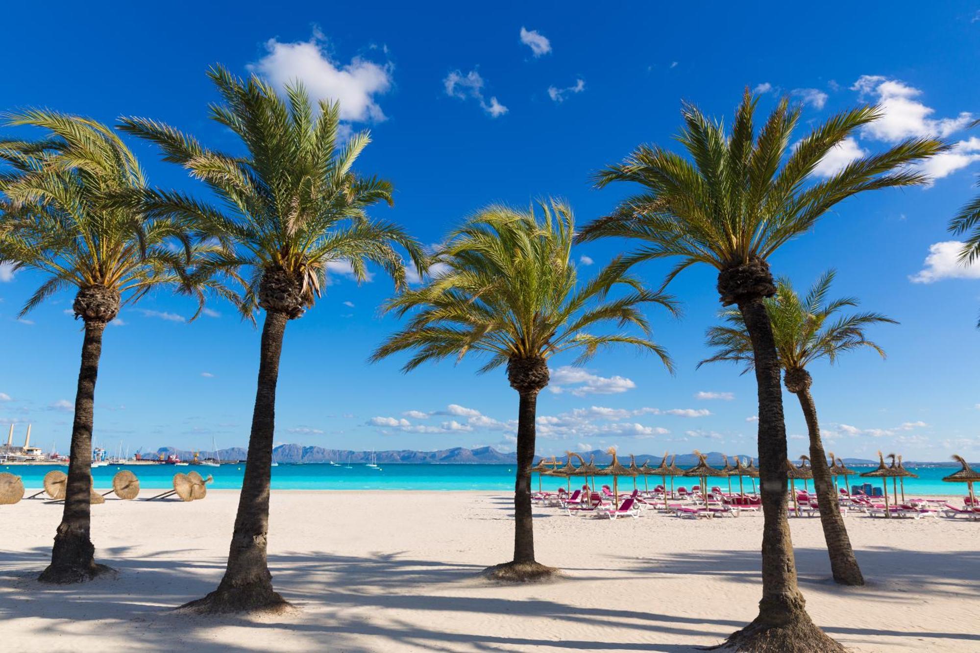 Alcudia Garden Port d'Alcúdia